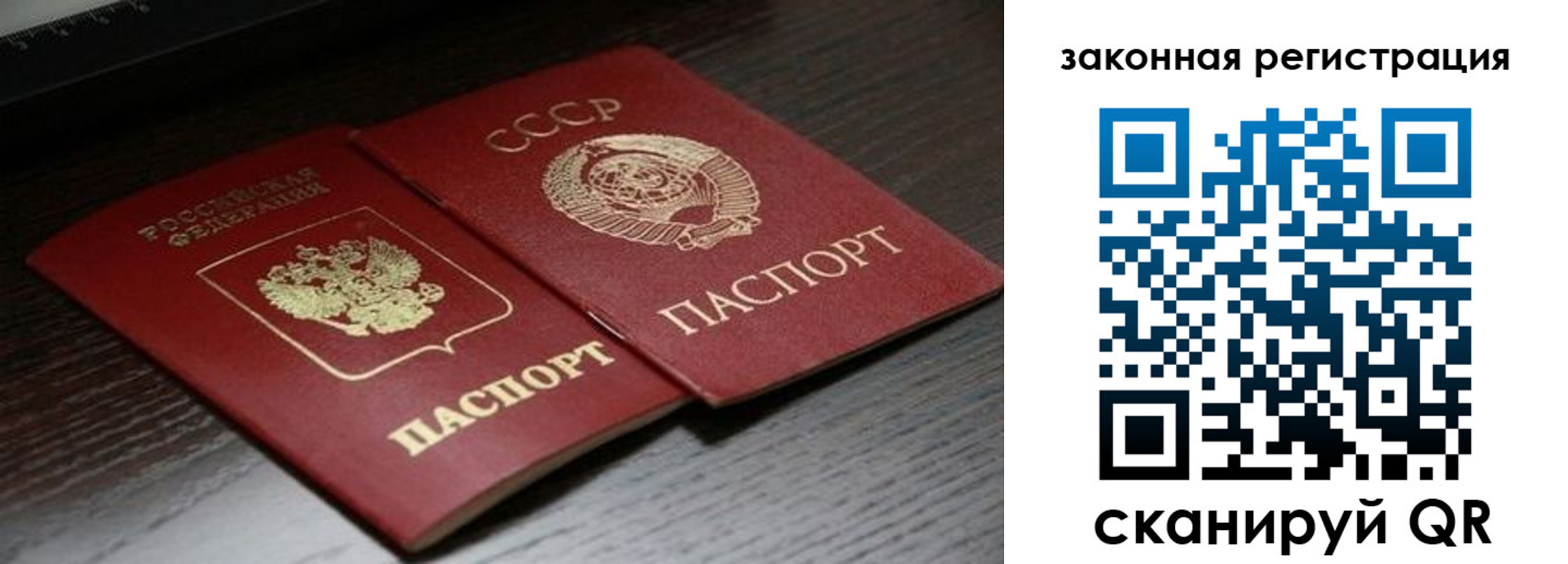 прописка поиск в Выборге